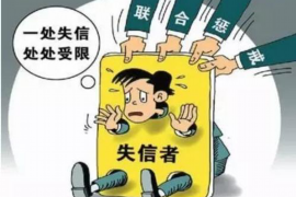 唐河为什么选择专业追讨公司来处理您的债务纠纷？